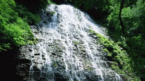 节能高效